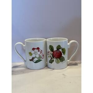 Set of 2 Discontinued PORTMEIRION POMONA HOARY APPLE 12 oz Mug Please Read